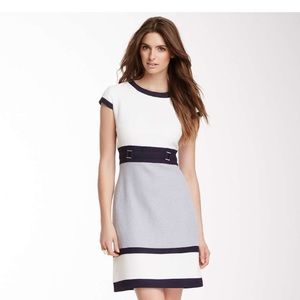 NWT Navy/White Buckle Waist Dress